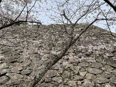 日出城　石垣

日出城の石垣は穴太衆が手掛けたもの（案内板より）

大分県内の城ではかなり珍しい石垣