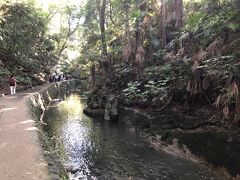 等々力渓谷の遊歩道は整備されて歩きやすくなっています。

渓谷内の川の大部分は石垣等で護岸工事されていますが、一部は手付かずの自然のままです。

皇居や明治神宮など、東京23区内で自然林が残っている場所は数える程ですが、ここもそのうちの一つです。