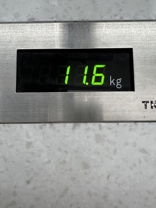 いつもより軽い。<br />日数少ないしね。