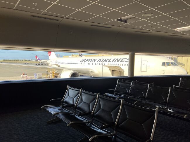 この飛行機に連れてきてもらったのね。