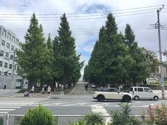 日吉駅の東口には、綱島街道の向こうに慶應の日吉キャンパスがあります。
記念館までまっすぐ続く見事なイチョウ並木があり、黄葉前でも見応えがありました。
反対側の西口には、放射状に商店街が広がっています。
