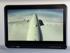 飛行機での移動