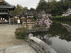 二条城近くの宿を出て　荷物持って移動
近くなので　朝　神泉苑へ行ってみました