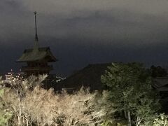 向こうに見える　鉾のような建物は　大雲院・祇園閣
まるで桜の雲に浮かんでいます