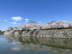 姫路駅から歩いて15分
お堀から桜がこぼれ落ちそう