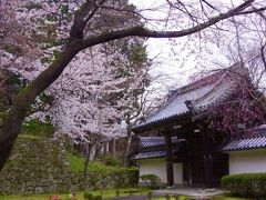 3月から、西教寺では「サクラと青もみじとかざぐるま 参道 通り抜け」というイベント?をやっているので、境内の至る所にかざぐるまが飾られています。　風が吹くと、カラフルなかざぐるまがカラカラ回ります。

ちょっと桜の開花状況が足りない感じですが、この角度からの景色、なかなか好きです。