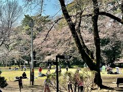 途中駒場公園を抜けて