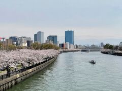 毛馬桜之宮公園は、大川の毛馬洗い堰から下流の天満橋まで延長4.2kmの河川敷を利用した河岸公園です。