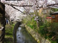 哲学の道　人混みでアングルが難しい。