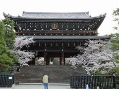 続いてお隣の『知恩院』へ
この『三門』と桜がマッチして綺麗

今年は3月25日(金) ～ 4月3日(日)で夜間拝観のライトアップが開催せれていた様です
