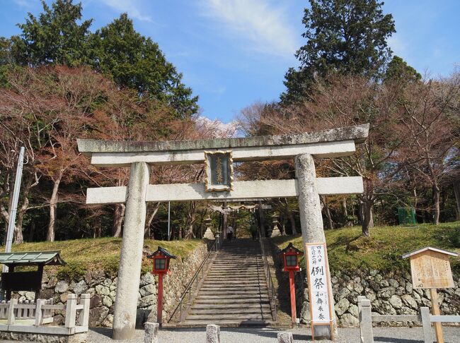 満開三日間の千眼桜の大原野神社へ、でも満開ちょい前』嵐山