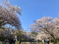 16:06
1時間半ほど大濠公園で過ごしてから、西公園へ。　「日本さくら名所100選」の地。

