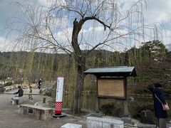 円山公園。
札幌の円山公園とはまた違って素敵。
ワンコを連れた方々、お友達と、大切な人と。
それぞれの時間の過ごし方。