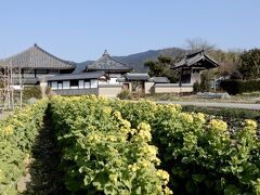 　　　　蘇我馬子が創立の飛鳥寺