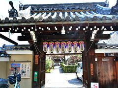 地蔵院（椿寺）
https://jizouin.exblog.jp/

カフェタイムの後は次の目的地までお散歩します。
椿にはもう遅いかな？と思ったのですが、椿寺とも称される地蔵院へ。