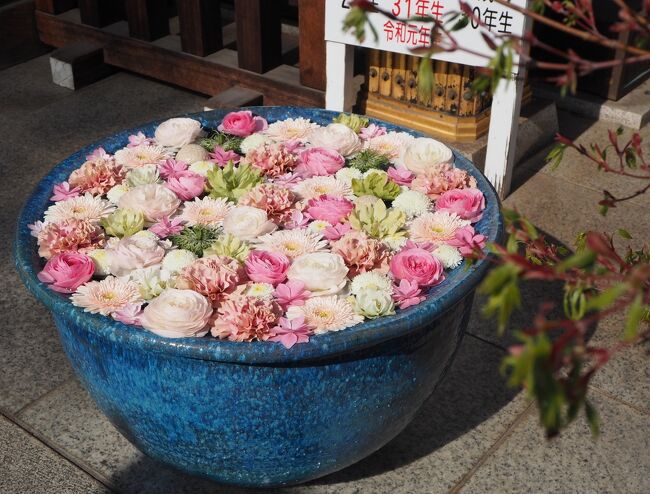 花手水巡り ２０２２年４月の行田花手水weekを見に行田市へお出かけ 行田 羽生 加須 埼玉県 の旅行記 ブログ By かおニャンさん フォートラベル