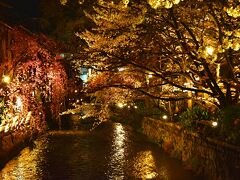 祇園白川

お饂飩の後は白川へ。なんとまぁものすごい人...人...人（爆）
京都にも賑わいが戻ってきたってことね。でもやっぱり静かな京都の方がいいよぉ、と贅沢なことを言ってみる。