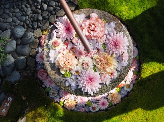 花手水巡り ２０２２年４月の行田花手水weekを見に行田市へお出かけ 行田 羽生 加須 埼玉県 の旅行記 ブログ By かおニャンさん フォートラベル