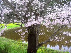 東日本を代表する難読駅、いたぶ。駅前には池があって、桜・菜の花・列車を合わせて撮影できるため、普段はほとんど利用客のない駅も、多くの観光客で賑わっていました。