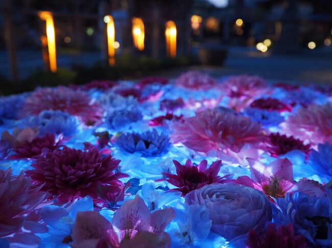 花手水巡り ２０２２年４月の行田花手水weekを見に行田市へ 花手水ライトアップ 希望の光 行田 羽生 加須 埼玉県 の旅行記 ブログ By かおニャンさん フォートラベル