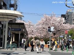 木屋町の桜。
北側は満開でしたが、