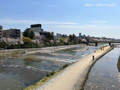 鴨川沿いの桜。
花びらが舞っていたので、そろそら散り始めかな。