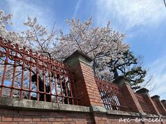 京都市内のあちこちで見かける赤レンガ。
桜に、青空とのコラボは、最強の美しさ。