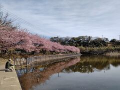 徒歩5分程度歩き小松ヶ池公園に行く。