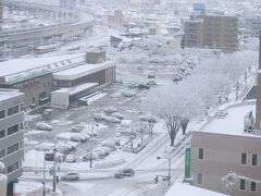 それにしても、一面の雪景色