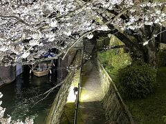 琵琶湖疏水の桜と疏水船。