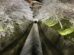 琵琶湖疏水の桜と第一疏水トンネル。