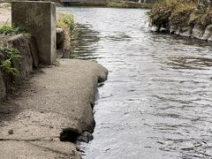 金鱗湖には温泉が流れ込んでいて、温かいのです。足湯もできるんだけど、ここは風の通り道。寒すぎて足をつけるのはやめました。