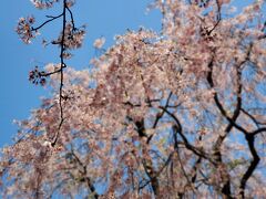 緑と花の学習園。