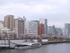 吾妻橋より浅草側の桜を見て。