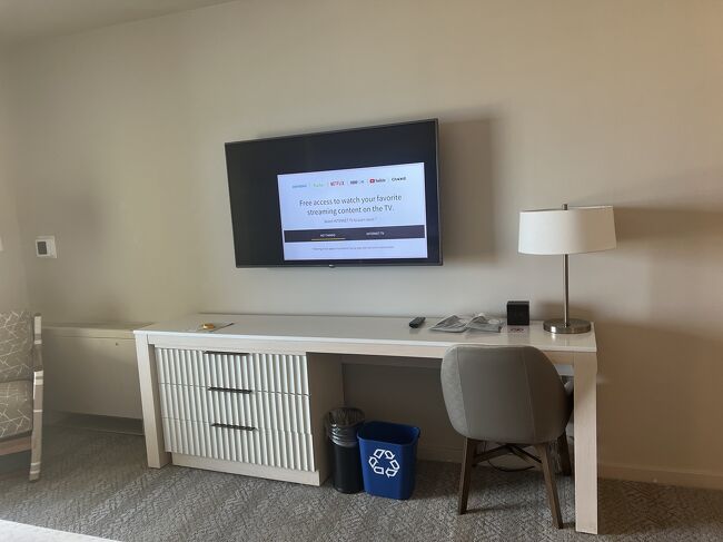 室内はテーブルになるのがここしかないので、部屋食にするとここで食べる事に。<br />