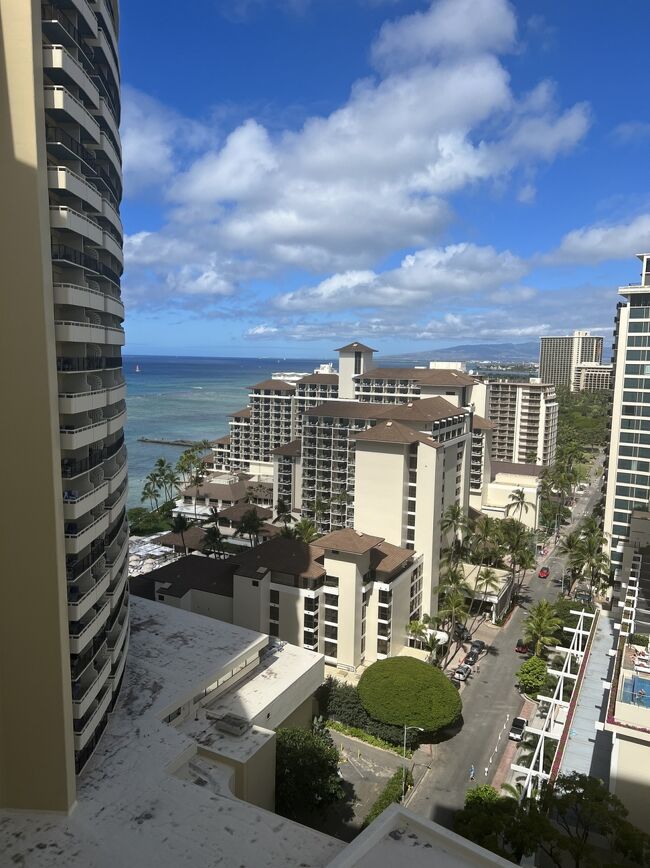 景色はこんな感じ