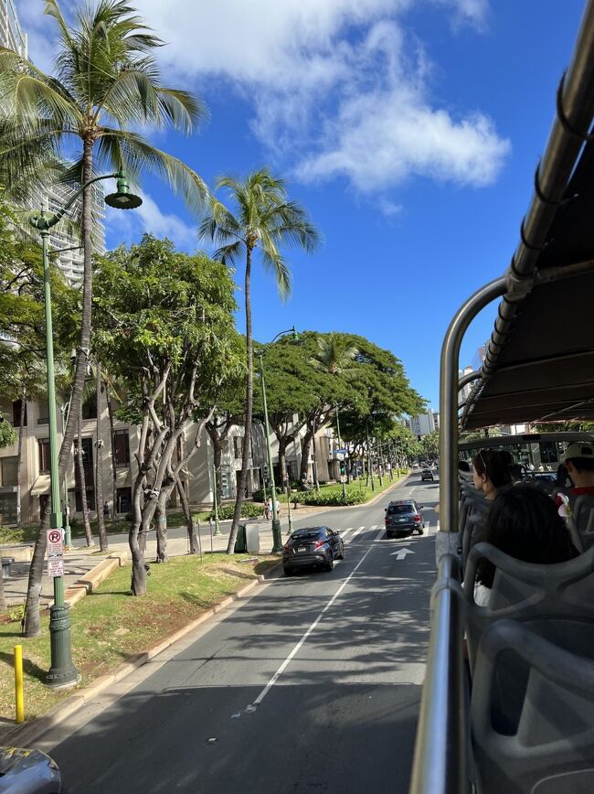 トロリー気持ちいーーーーー<br />ワイキキトロリーだけでもやっていてくれてありがたい。
