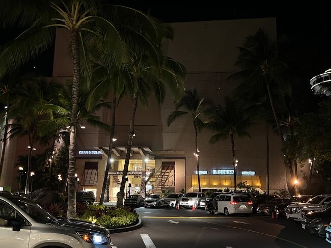 一旦荷物を置きに部屋に戻ります。<br />ホテルのスタッフに聞きたいことがあり、以前、日本語インフォメーションだった1Fエレベータ近くのデスクに行き、質問したところ、ホテルスタッフでなくマリオットのタイムシェアの方でした。<br />その人とおしゃべり。<br />ホテル内で日本人はほとんど見かけず、日本人かと思って話している言葉聞くとほぼ韓国人だそう。<br />日本人見かけたのは先週2組で、今週は私だけ。今週って今日土曜日だよ！<br /><br />けっこう長話してしまった・・・<br /><br />部屋に戻ってビール飲んでまた外出　20：00