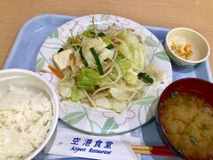 豆腐チャンプルー定食♪たんぱく質もお野菜もしっかり摂れるし、６５０円で大満足。

今回は沖縄そば食べなかったなー。あんまり小麦粉を食べられなくなった気がする。パンケーキ食べたけど(笑)。