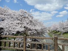 　それよりもさ
　高田川沿でいちばん絵になる唯一の木の橋はココですよ！
　って触れておく方が大事だよね