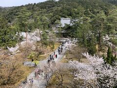 お寺と桜、’京の桜’。南禅寺は桜の季節も良いですね。