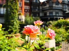 建物もすばらしいが、庭にも力を入れている。
まるで植物園。