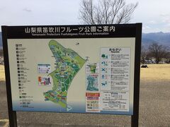 ほったらかし温泉から山を下りると、途中にあった笛吹川フルーツ公園に寄ってみた。