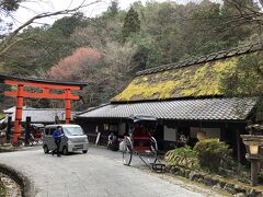 鳥居が見えて来ました。そして右にあるのが平野屋さんですね。