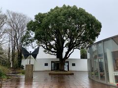 天気予報では降ったり止んだり、でしたが思ったより大雨
本日の予定は行きたかったクレマチスの丘
でもこの雨では…
テンションが上がらずレイトチェックアウトプランで12時までいられたので部屋でコーヒーを飲みながらのんびり映画観ていました
三島駅北口12時発のシャトルバスに間に合うようチェックアウト

まずはシャトルバス終点まで行きベルナール・ビュッフェ美術館へ
線の画家、と言われるように独特な作風
展示数も多く見応えがあります