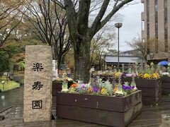 新幹線まで少し時間があったので三島駅南口目の前にある楽寿園を散策
入り口の寄せ植え、春を感じます