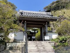 更に歩いて安養院に到着。大通りから階段を上がると境内が広がっています。春がツツジがきれいなお寺として知られています。ご本尊は阿弥陀如来ですが、千手観音が安置されており、坂東三十三観音の第3番札所となっています。