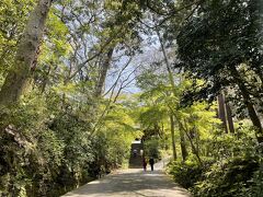 お昼の時間が近づいてきましたが、もう少しだけお寺巡りを続けます。

ここは日蓮宗の本山である妙本寺。参道は緑に囲まれていてきれいです。