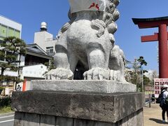 鶴岡八幡宮の参道である若宮大路まで戻ってきました。狛犬はまだマスク姿ですね。