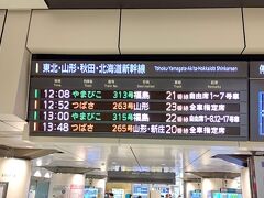 大原駅からＪＲ外房線・総武線に乗り、東京駅へ戻ります。
東京駅から小山駅までは、福島県沖地震で福島駅～仙台駅不通の間、臨時ダイヤで運転中のやまびこ号に乗車することにしました。
やまびこ号と全車指定席のつばさ号が、昼間は１時間あたり各１本ずつの運転です。